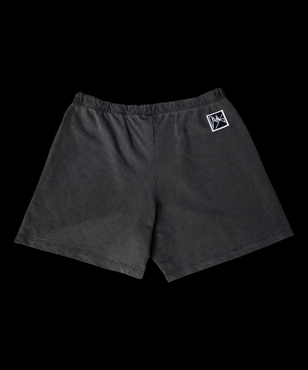 "LAST GENERATION"  TRAINING  SHORTS TYPE-1